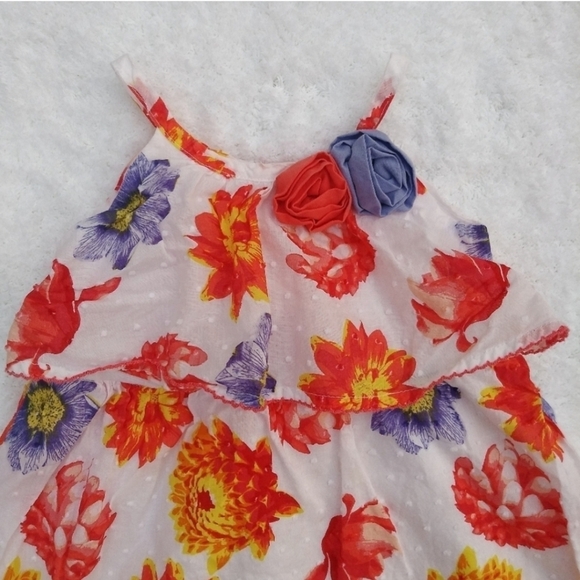 2 Baby Girl Dresses - Floral & India Palace Print - Picture 3 of 15